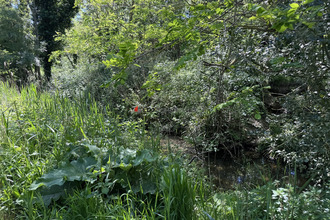 achat terrain perpignan 66000