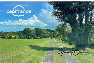 achat terrain petit-bg 97170