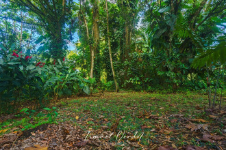 achat terrain petit-bg 97170