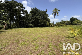 achat terrain petit-bg 97170