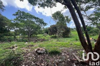 achat terrain petit-canal 97131