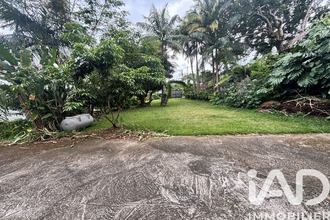 achat terrain petite-ile 97429