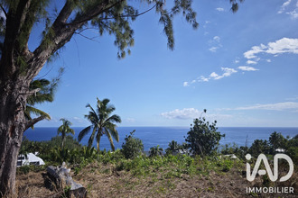 achat terrain petite-ile 97429