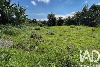 achat terrain petite-ile 97429