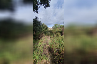 achat terrain petreto-bicchisano 20140