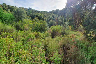 achat terrain petreto-bicchisano 20140