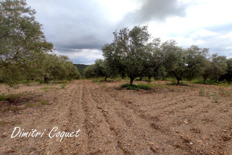 achat terrain pezenas 34120