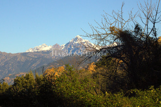 achat terrain piana 20115