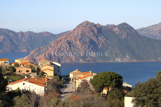 achat terrain piana 20115