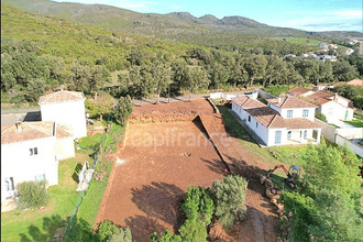 achat terrain pietracorbara 20233