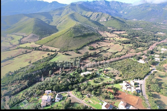 achat terrain pietracorbara 20233