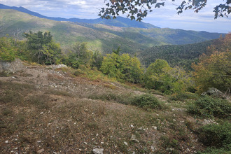 achat terrain pietraserena 20251