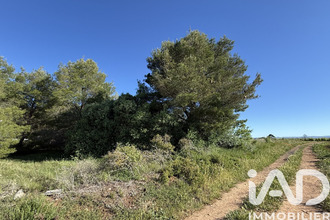achat terrain pinet 34850