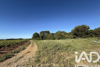achat terrain pinet 34850