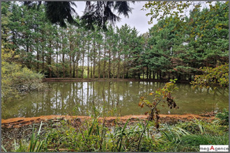 achat terrain pipriac 35550