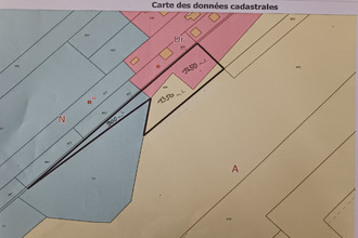 achat terrain plaine-des-palmistes 97431