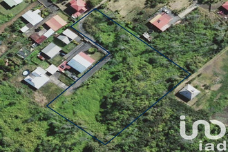 achat terrain plaine-des-palmistes 97431