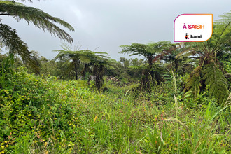 achat terrain plaine-des-palmistes 97431