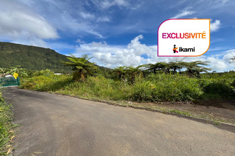 achat terrain plaine-des-palmistes 97431