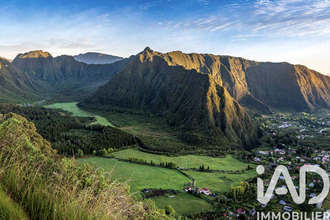 achat terrain plaine-des-palmistes 97431