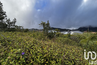 achat terrain plaine-des-palmistes 97431