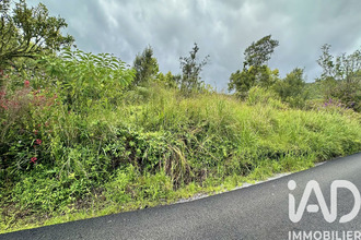 achat terrain plaine-des-palmistes 97431