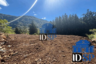 achat terrain plaine-des-palmistes 97431