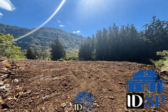 achat terrain plaine-des-palmistes 97431