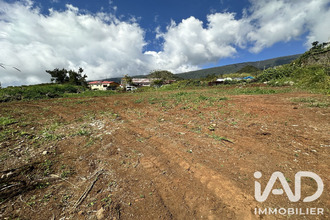 achat terrain plaine-des-palmistes 97431