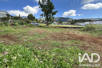 achat terrain plaine-des-palmistes 97431