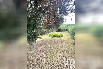 achat terrain pluduno 22130