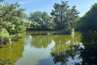 achat terrain pluvigner 56330
