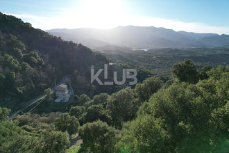 achat terrain poggio-d-oletta 20232