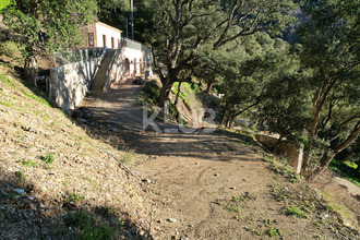 achat terrain poggio-d-oletta 20232