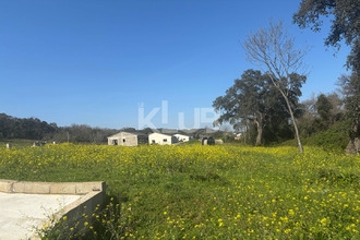 achat terrain poggio-mezzana 20230