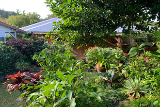 achat terrain pointe-noire 97116