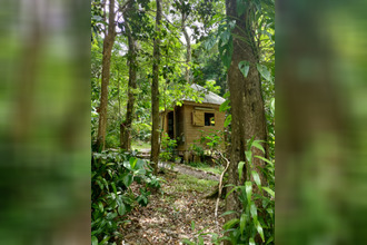 achat terrain pointe-noire 97116