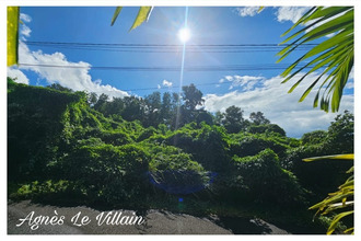 achat terrain pointe-noire 97116