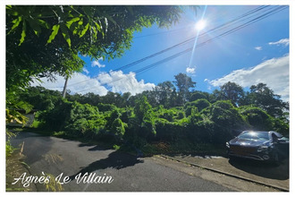 achat terrain pointe-noire 97116