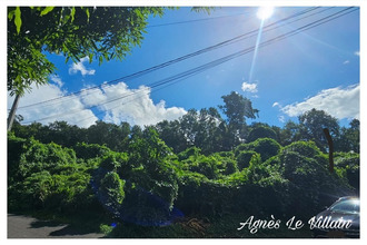 achat terrain pointe-noire 97116