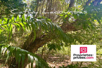 achat terrain pointe-noire 97116