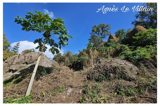 achat terrain pointe-noire 97116