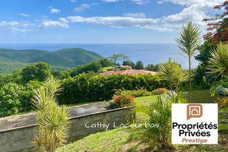 achat terrain pointe-noire 97116