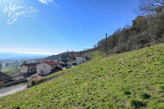 achat terrain pomeys 69590