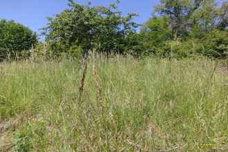 achat terrain pont-a-mousson 54700