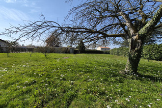 achat terrain pont-de-vaux 01190