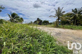 achat terrain port-louis 97117