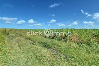 achat terrain port-louis 97117