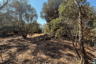 achat terrain porto-vecchio 20137