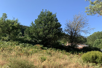 achat terrain porto-vecchio 20137